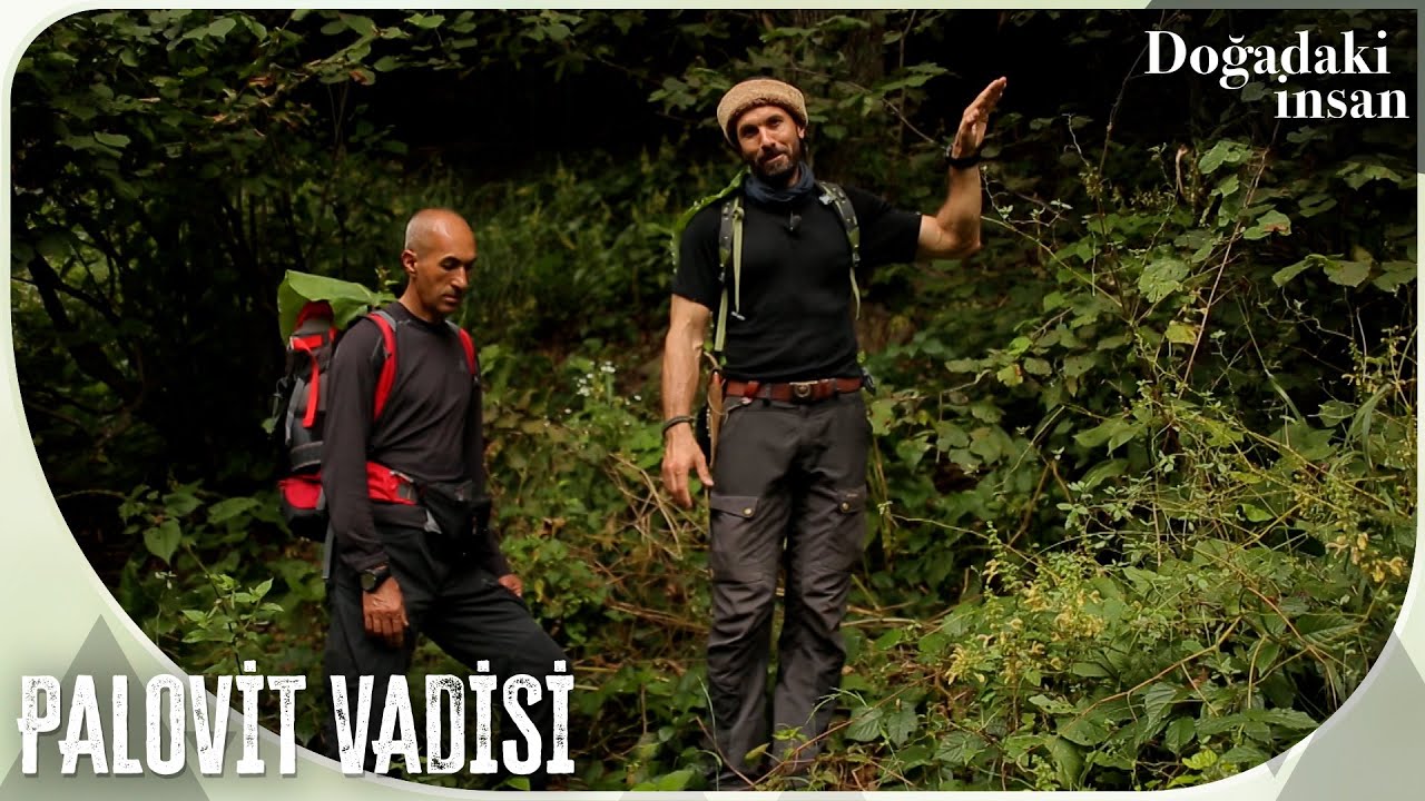 Serdar Kılıç, Kaçkarlar'da Palovit Yaylası ve vadisinde | Doğadaki İnsan 36. Bölüm