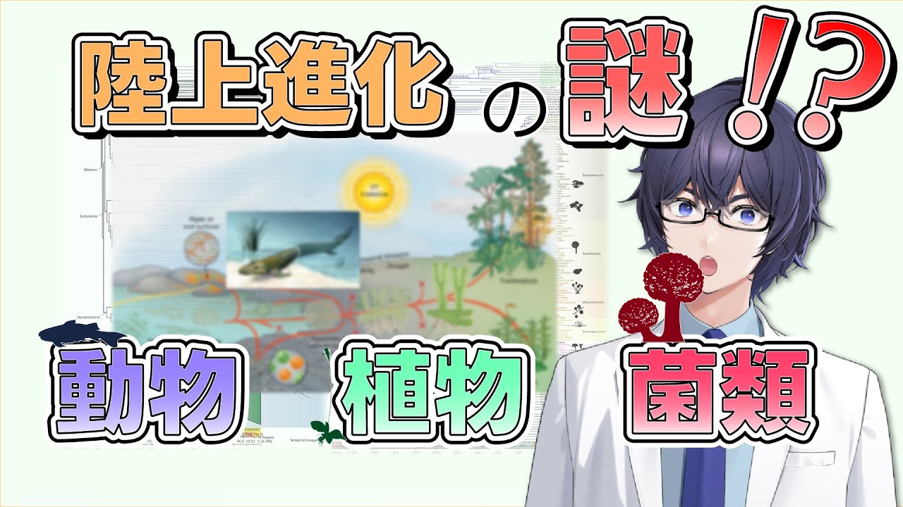 陸上生物の進化の謎！動物と植物、菌類とのつながりとは？🌿🍄 #たかとー研究室
