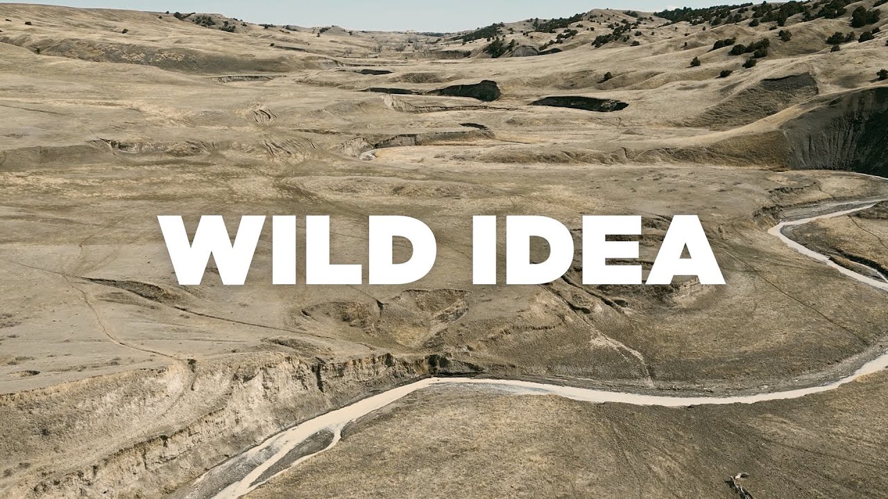 Wild Idea - Moore & Giles Leather