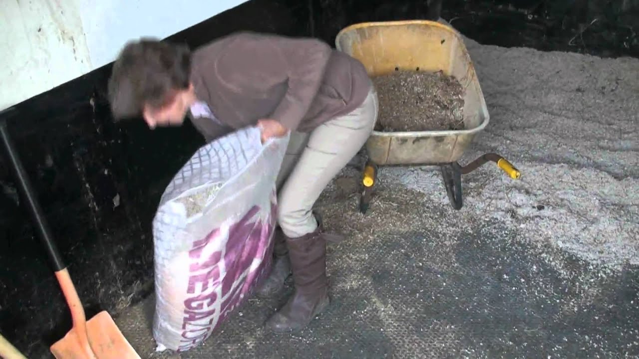 Megazorb bedding, mucking out, and Crabbet Arabians.