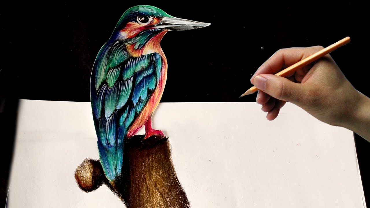 kingfisher bird 3D drawing ❤️🔥 for beginners | colour pencil