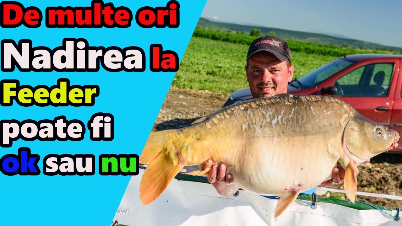 Cand se face nadire la feeder ?