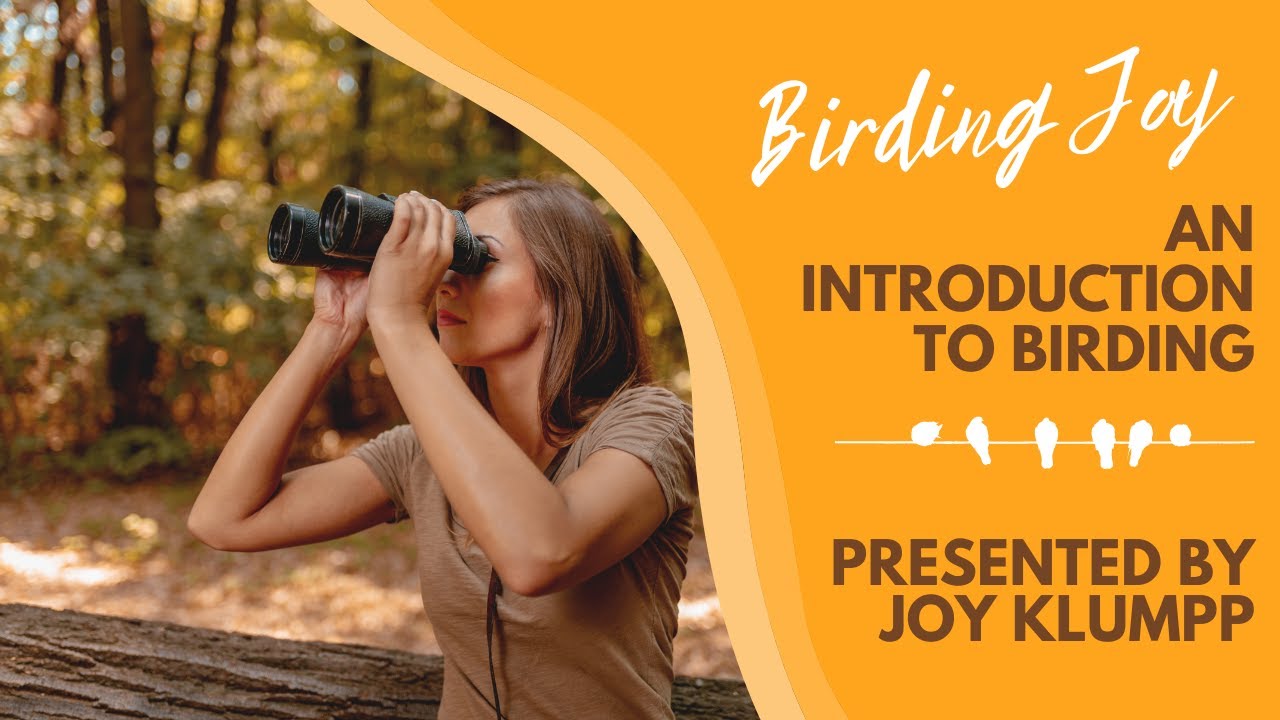 Birding Joy: An Introduction to Birding