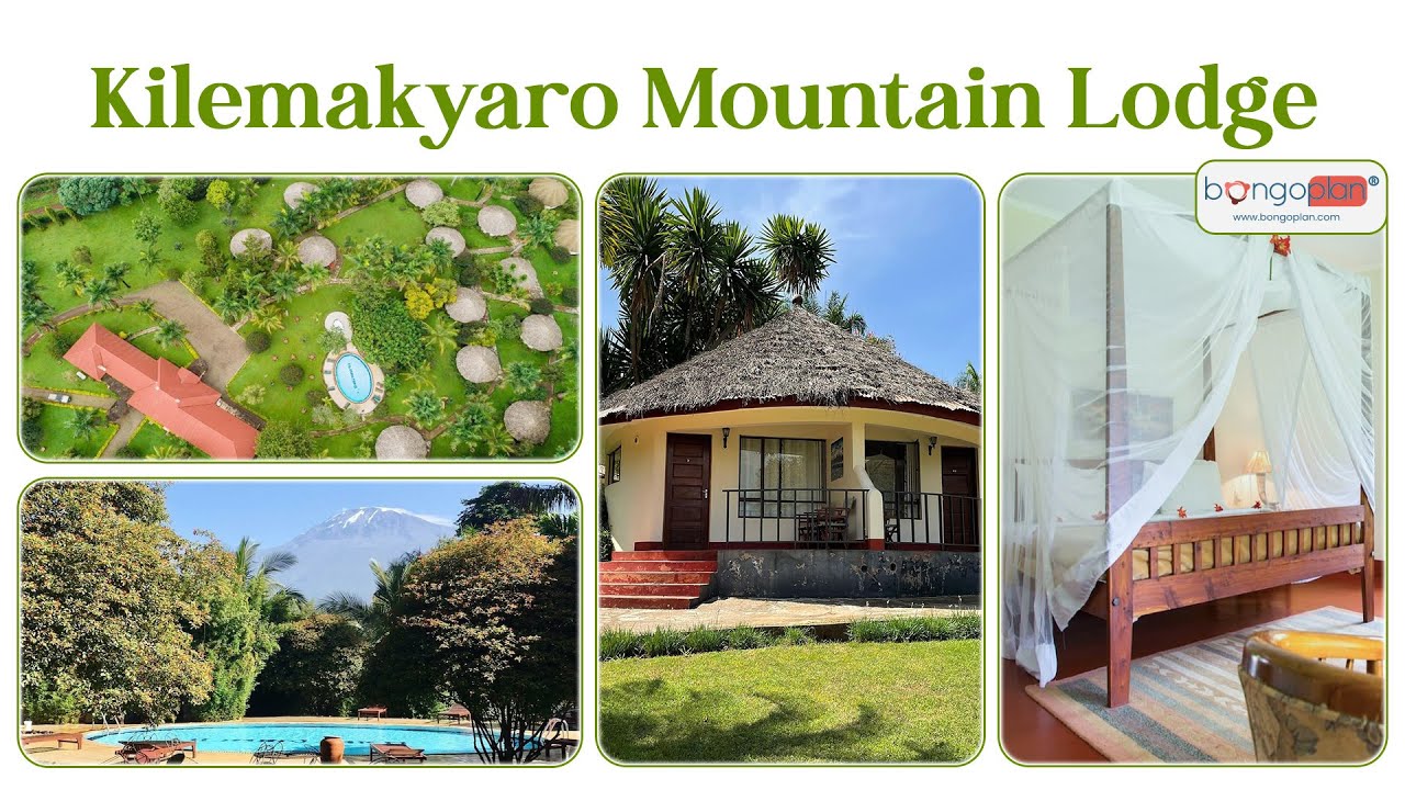 KILEMAKYARO MOUNTAIN LODGE — Моши, Килиманджаро = BongoPlan (4K)