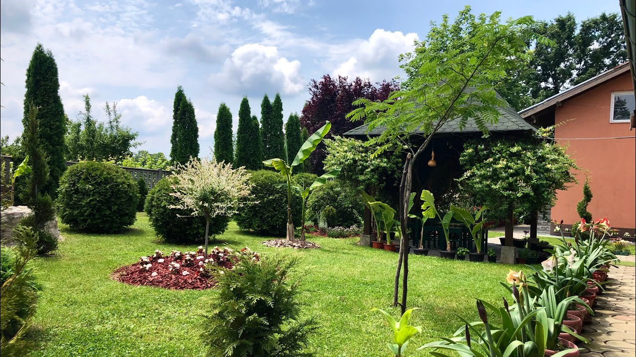 Moje dvorište , My garden ideas 2023 god, uredjivanje dvorista - uživajte #garden  #kragujevac ☀️