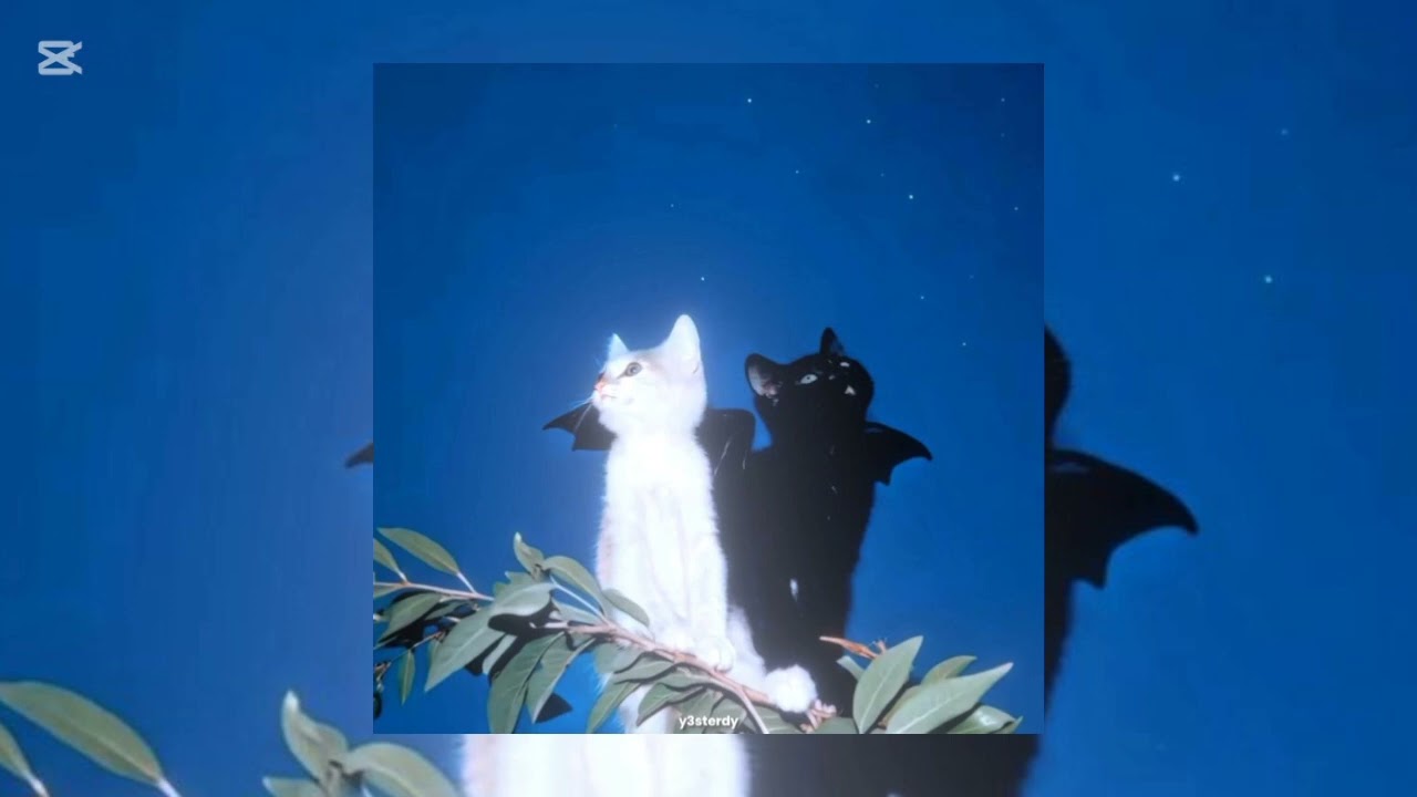 louis - BRAVO (speed up)