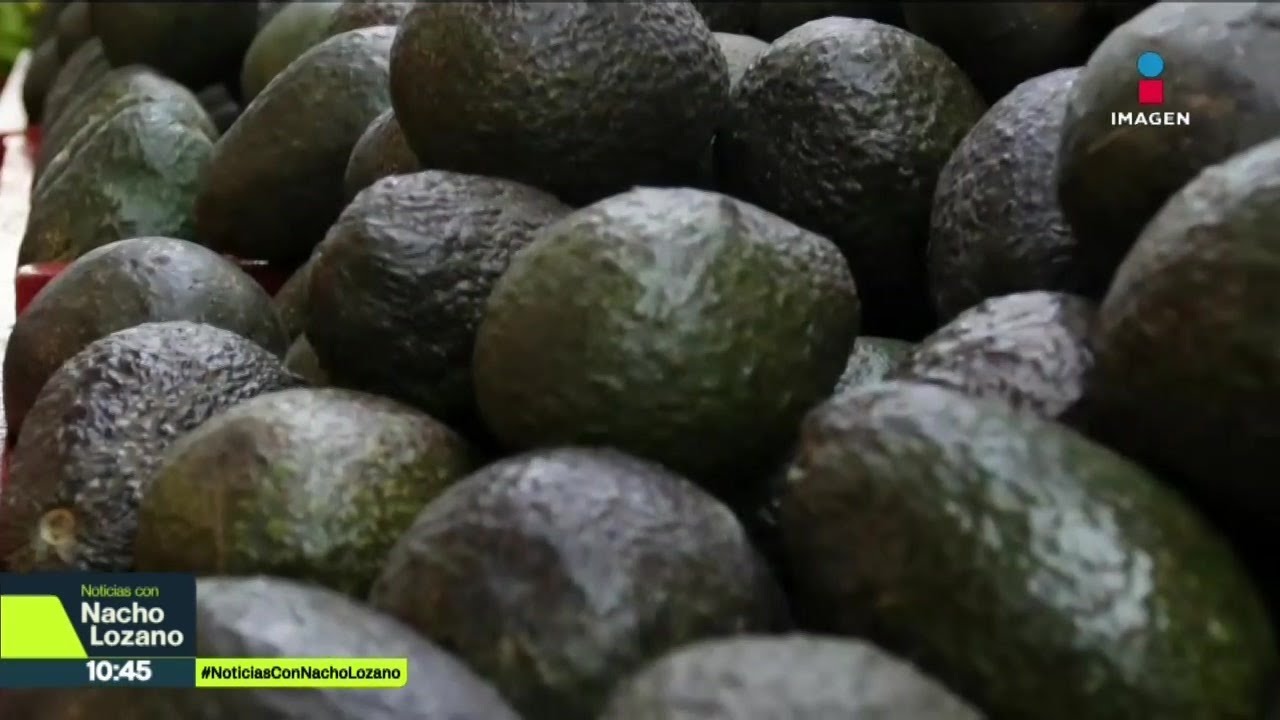 ¿Cuál es el panorama para los productores de aguacate para el Super Bowl en EUA? | Nacho Lozano
