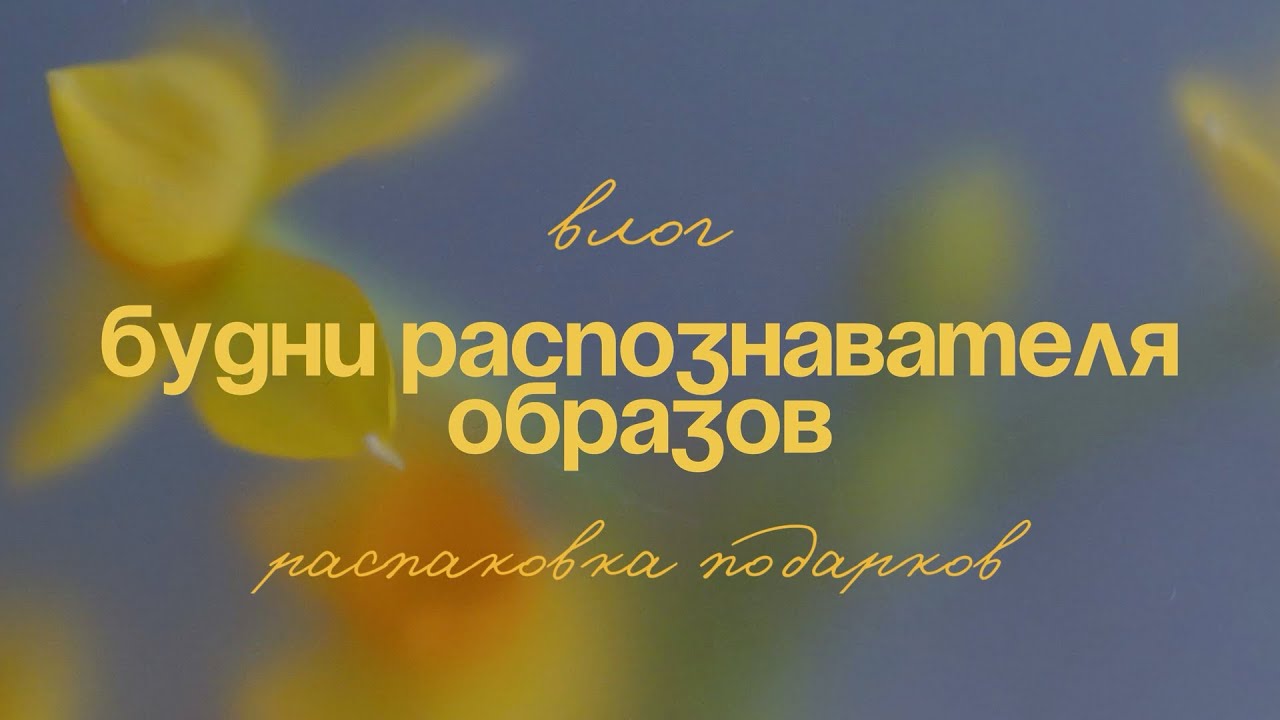 Февральский влог: распаковка подарков, спасаем домик, вождение