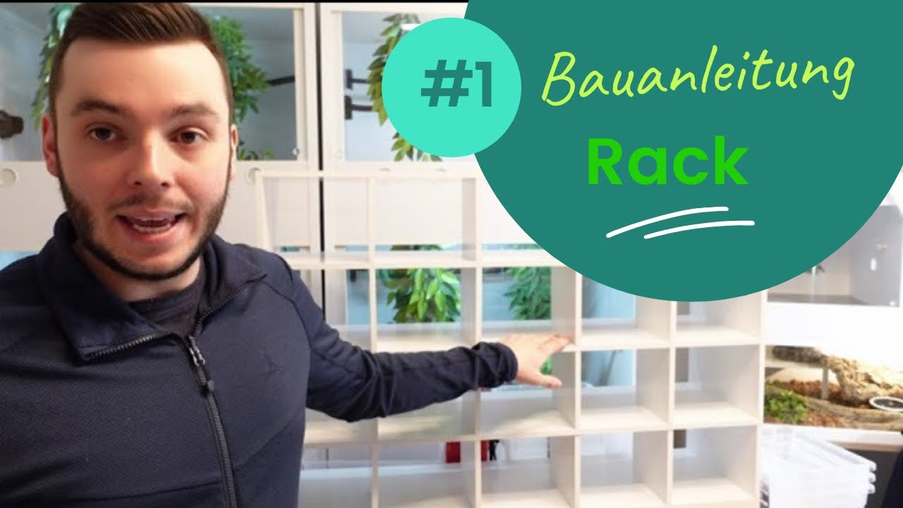 How to: Baumpython Aufzucht Rack Bau - DIY - Terraristik Bauanleitung