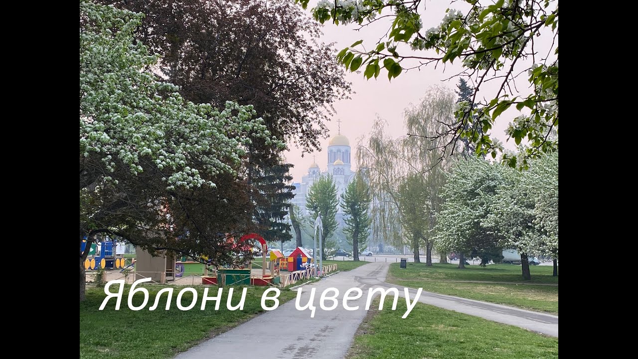 Яблони в цвету. Полная версия. Часть 3