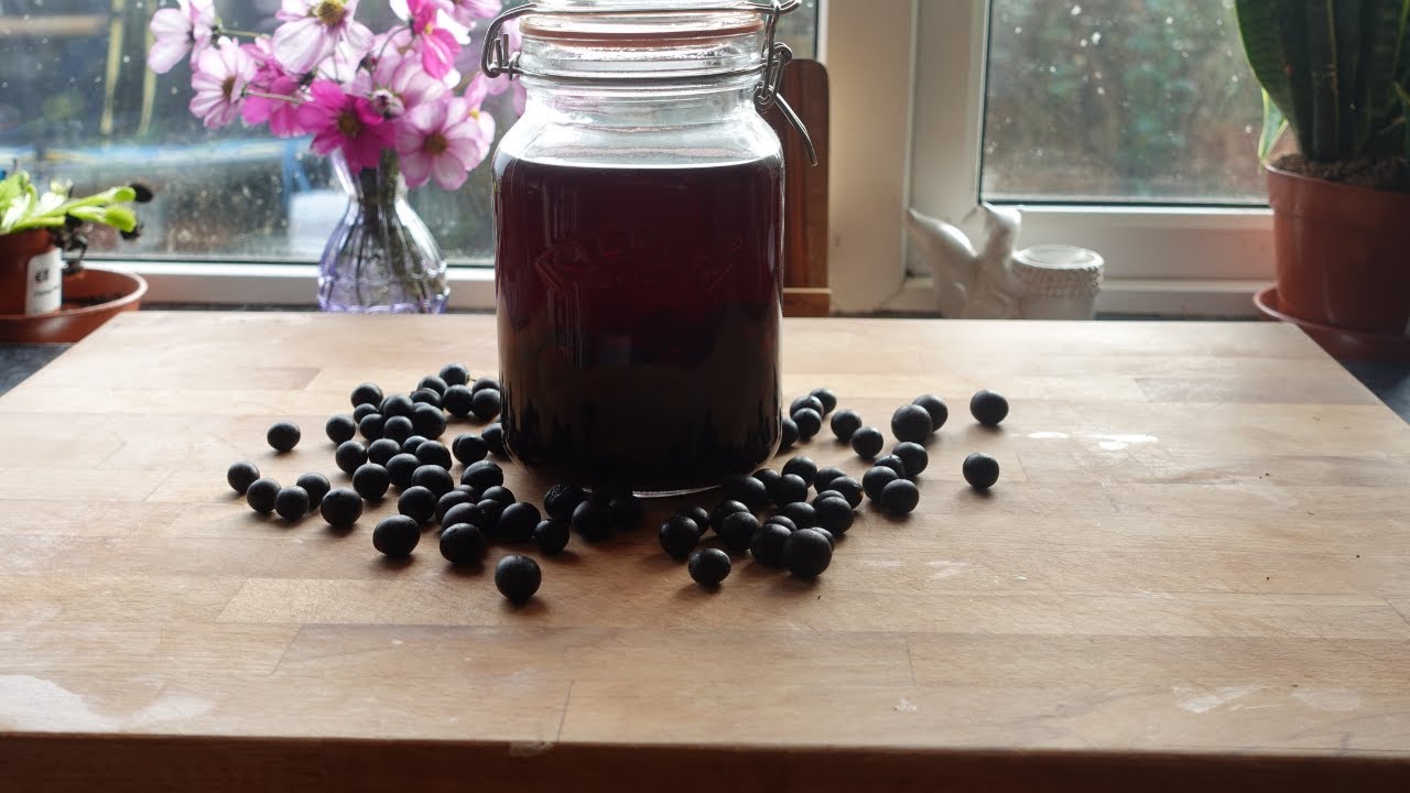 Checking on the Bees & Foraging Sloes | Making Sloe & Honey Gin + Homemade Burger Buns