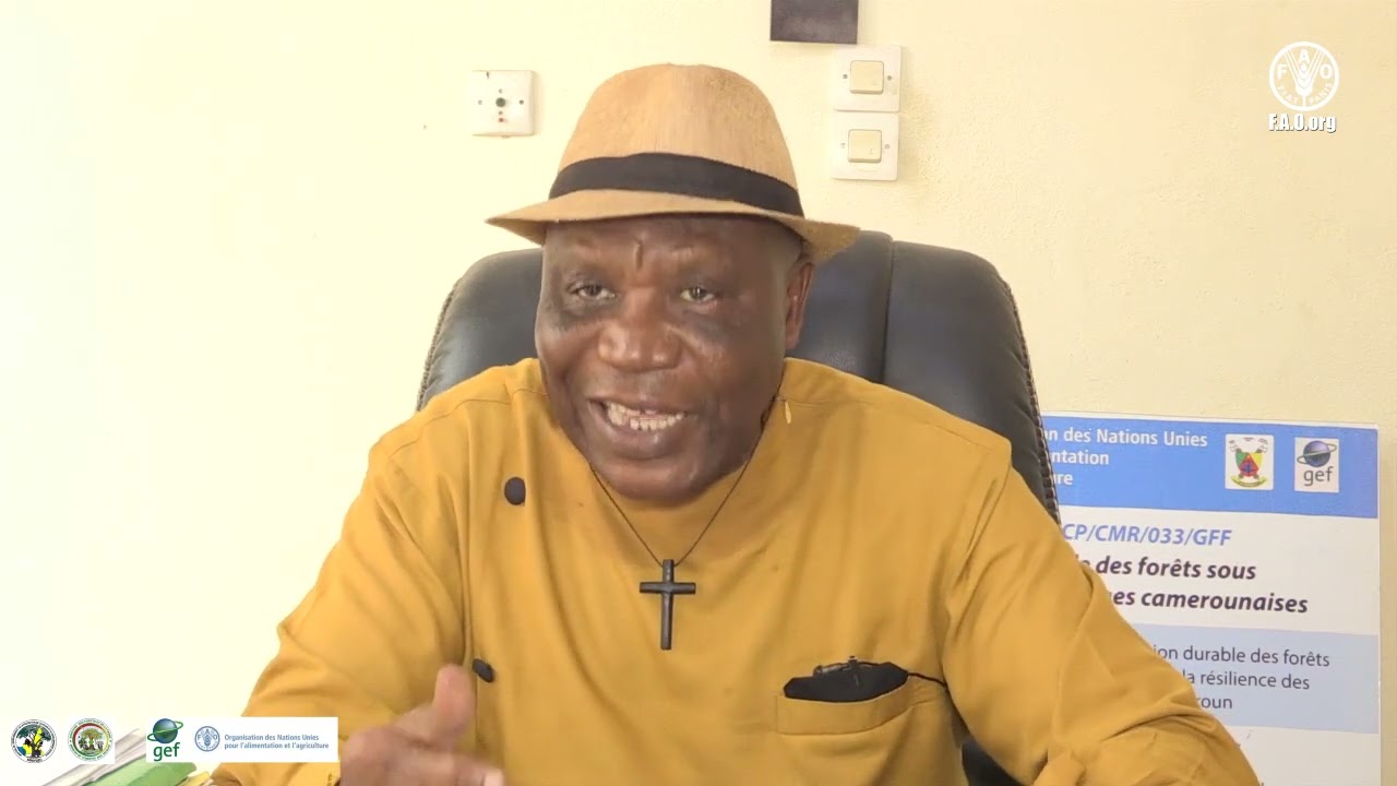 Doc FAO Restauration des Écosystèmes sur le reboisement de la commune de NDIKINIMEKI