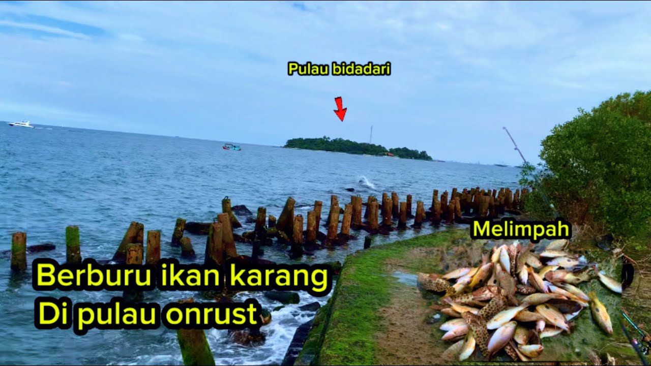 Berburu ikan karang di pulau onrust  kepulauan seribu #pulauonrust 