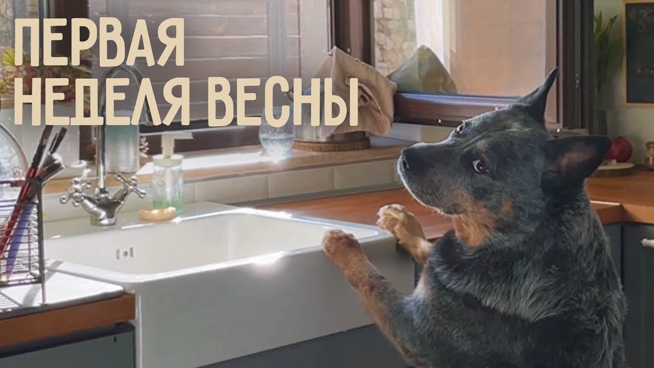 Первая неделя весны | Итоги недели, планирование и жизнь