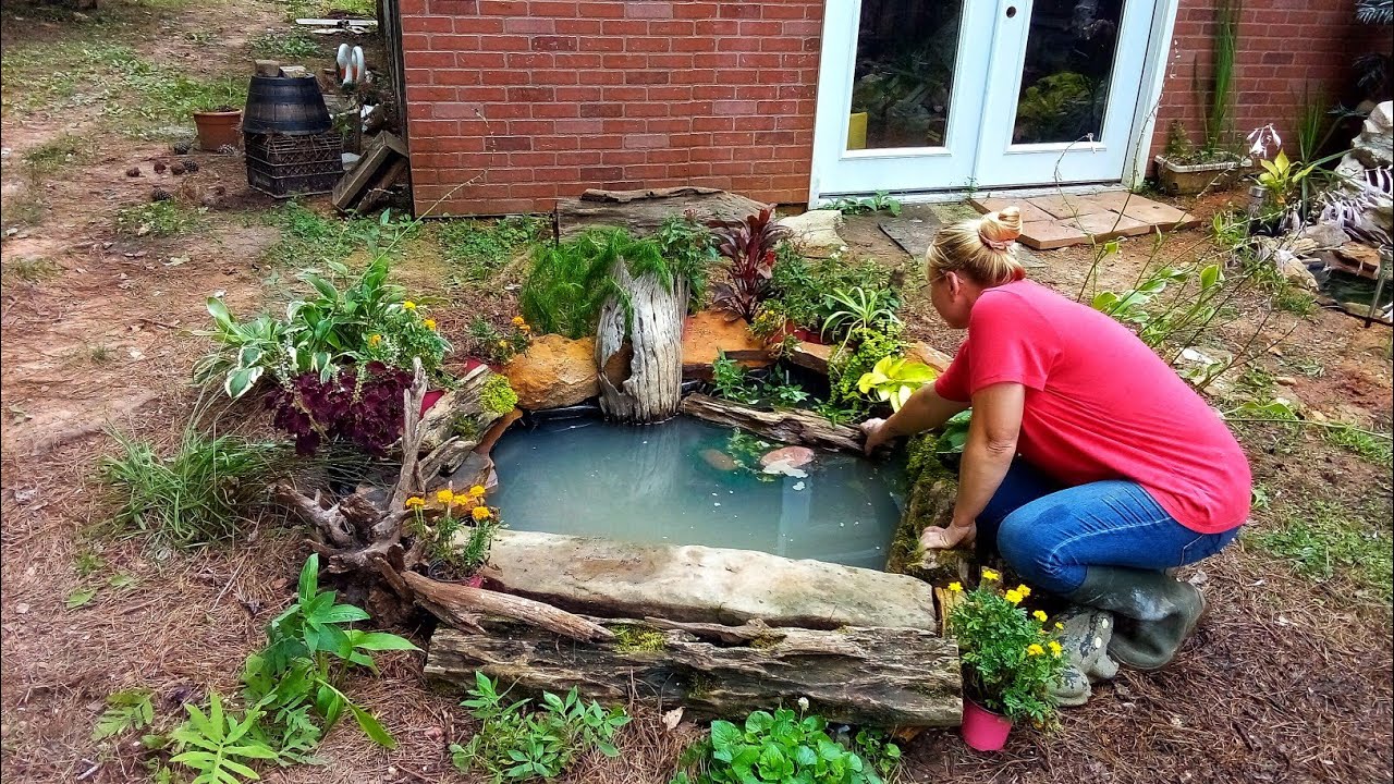 DIY Wildlife Pond Made The Easy Way!