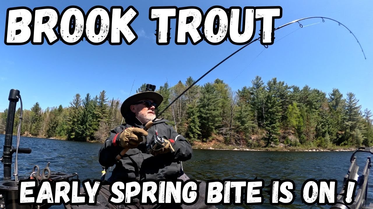 Brook Trout Early Spring Bite is On!