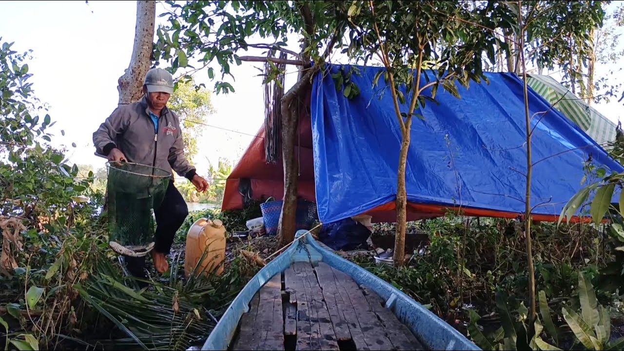 Dựng trại cắm câu đêm ll thưởng thức món gà nước luộc quá thơm ngon