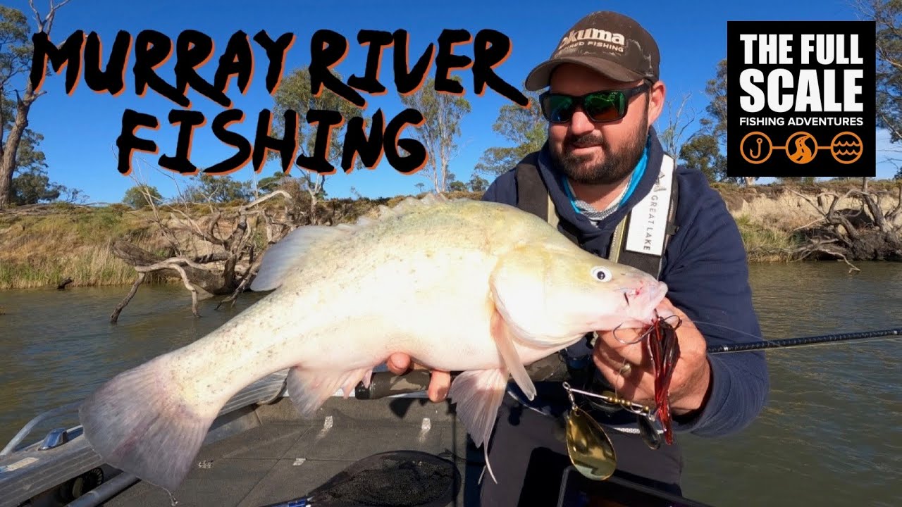 River Murray Fishing | Tactics To Catch Golden Perch | The Full Scale