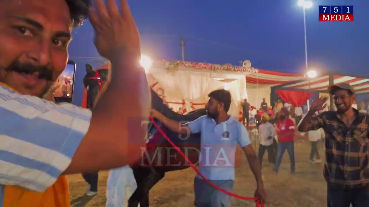 Horse Show Bhogiwal ਤੇ ਕੀਤਾ Display Punjab Shingar, Baba Gurwinder Singh Kheri ਦੀ ਧਾਕੜ ਐਂਟਰੀ 