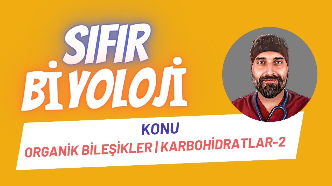 Karbohidratlar | Polisakkaritler Sıfır Biyoloji | Dr. Biyoloji