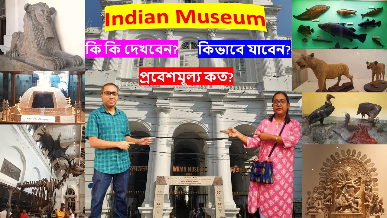 ভারতীয় জাদুঘর| Indian Museum Kolkata| India's Largest and Oldest Museum| Indian Museum Tour| #museum