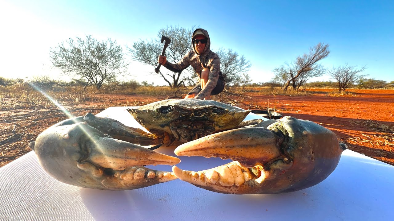 Catching MONSTER Fish & Crabs Using Primitive Techniques - Catch and Cook on FIRE