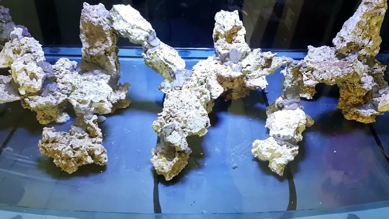 M.W. Reef 800 Liter Meerwasser Aquarium. Der Riffaufbau aus Totgestein.