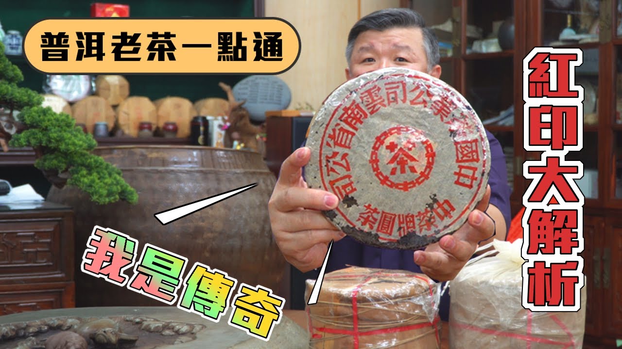 【普洱老茶一點通】EP.06 / 普洱茶的傳奇明星-紅印圓茶!! / 免費送老紅印一泡啦!