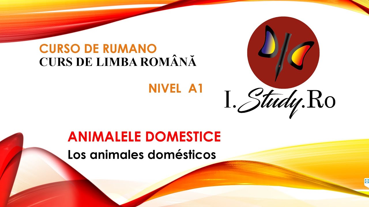 El plural de los animales domesticos en rumano| 📚CURSO para APRENDER RUMANO nivel A1✅ #102  IStudyRo
