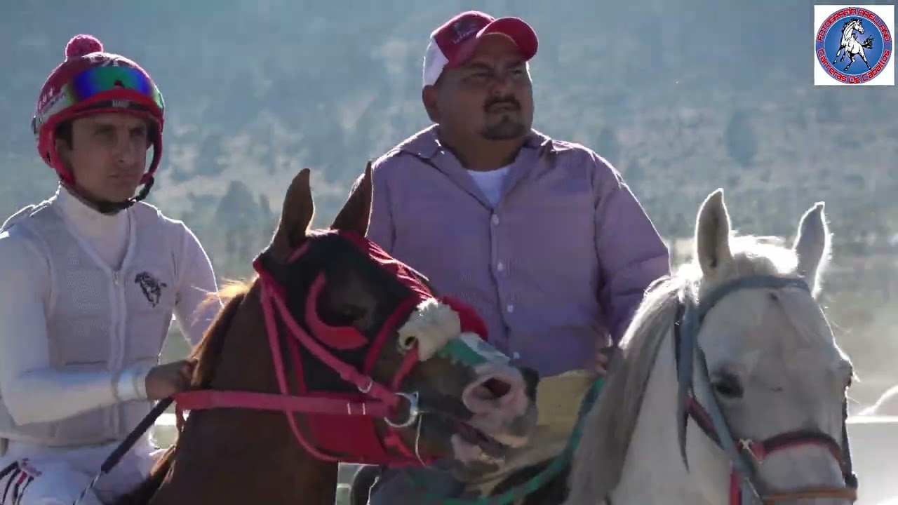 LA LUGITO (Cuadra Doña Paz) vs EL 40 (Cuadra Rancho Seco Oficial)