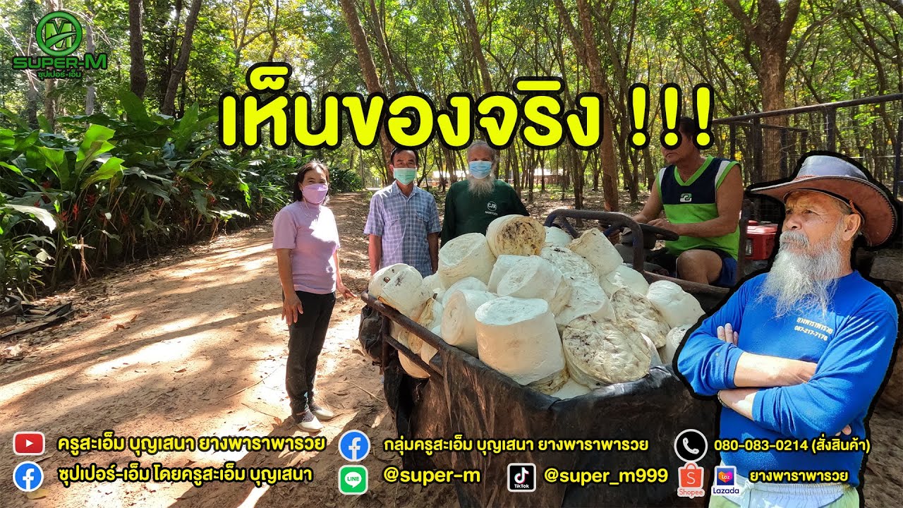 EP.63 พี่น้องจากบึงกาฬมาเยี่ยมวันเก็บยาง เห็นกับตาว่าของจริงหรือโกหก 22/12/64