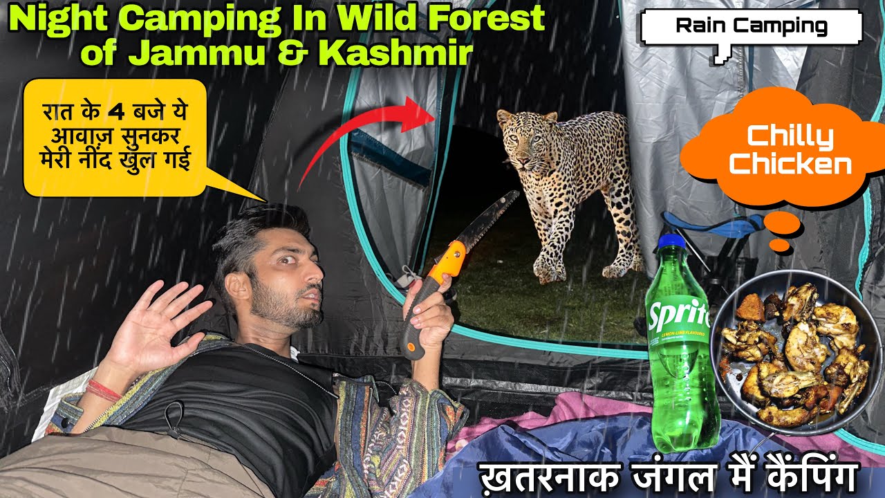 बारिश की वजह से नी दिखा | Wild Night in Dangerous Forest of JammuKashmir | Rain Camping in India