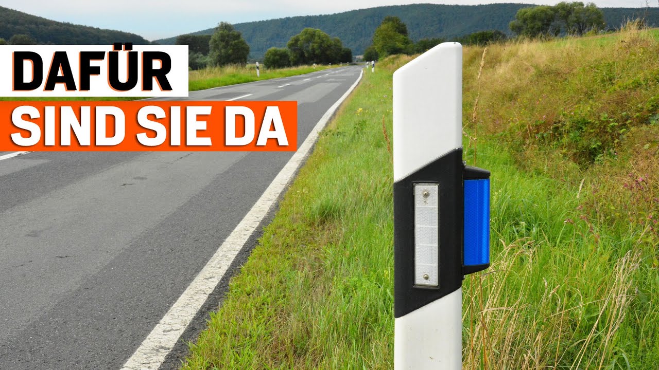 Geheimwaffe gegen Wildunfälle - so funktionieren blaue Reflektoren