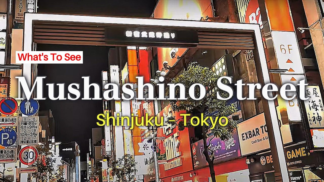 Shinjuku Night Walk, Suasana Pusat Perbelanjaan di Mushashino Street