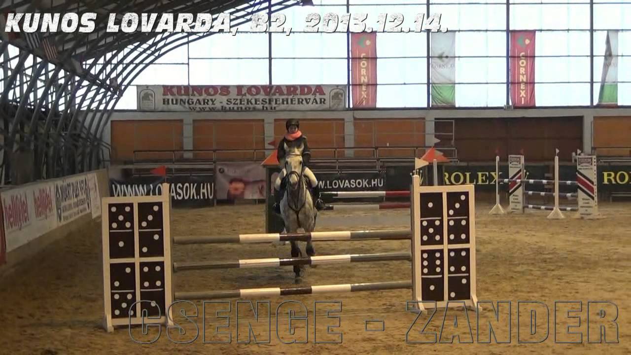 CSENGE ZANDER KUNOS B2 201312, lovaglas, dijugratas