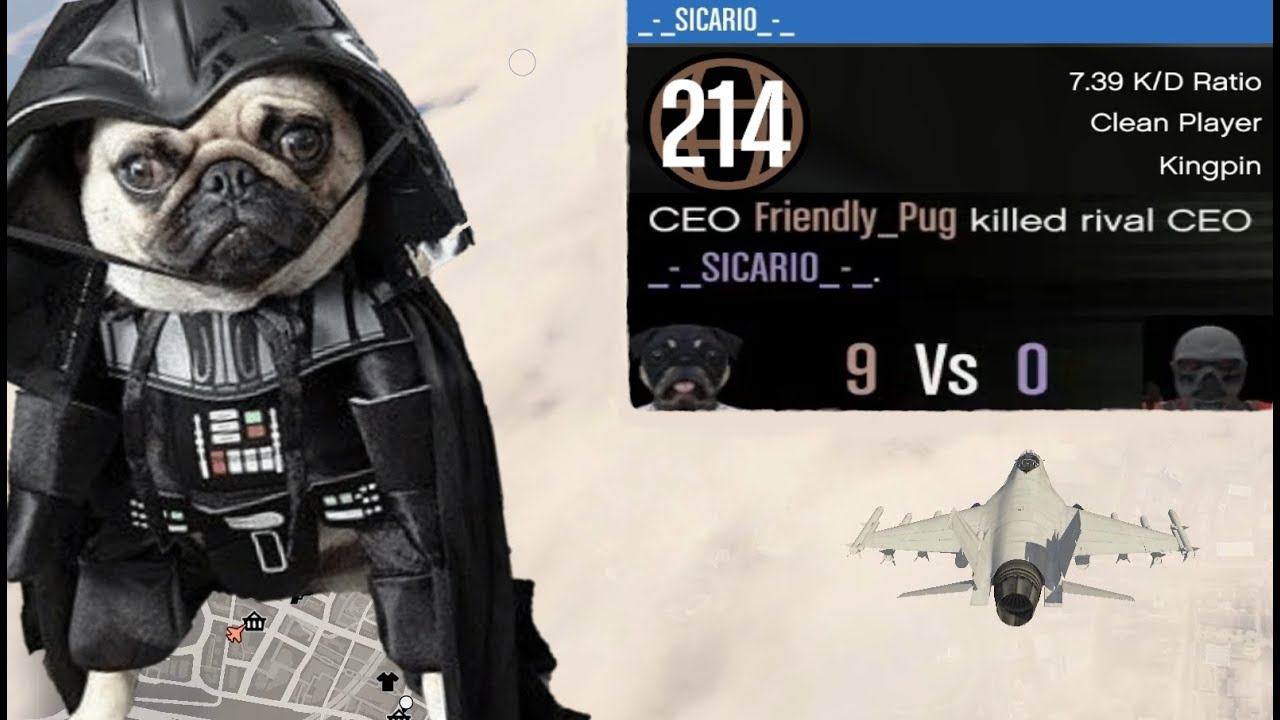 Friendly Pug got on the Dark Side and became an Angry Pug