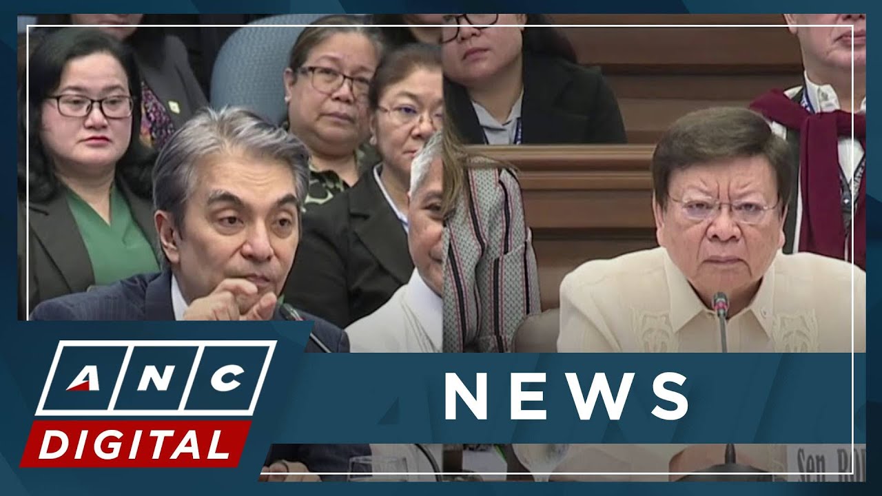 WATCH: Rep. Toby Tiangco bares 2025 budget insertions, proponents at Senate hearing | ANC