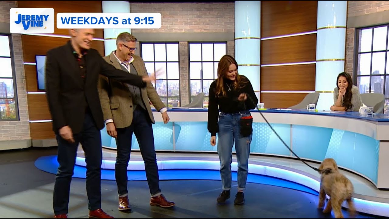 How to get your dog to behave!