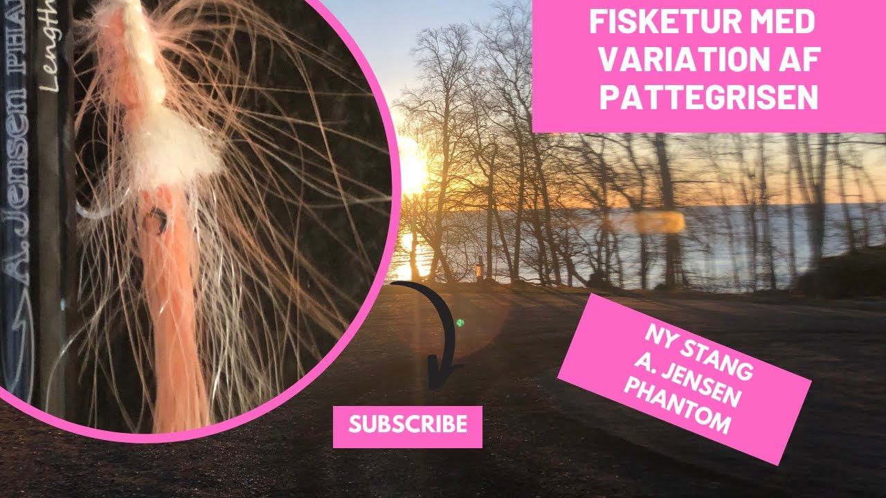 Fisketur med variation af pattegrisen med isbjørn - ny stang A. Jensen Phantom