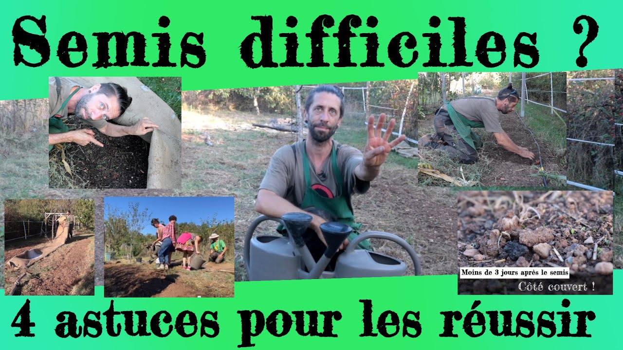 4 astuces pour réussir les semis difficiles.