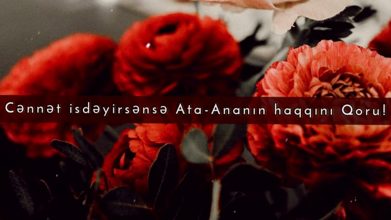 Cənnət istəyirsənsə Ana-Atanın Haqqını Qoru - Ömər AbdulHəlim