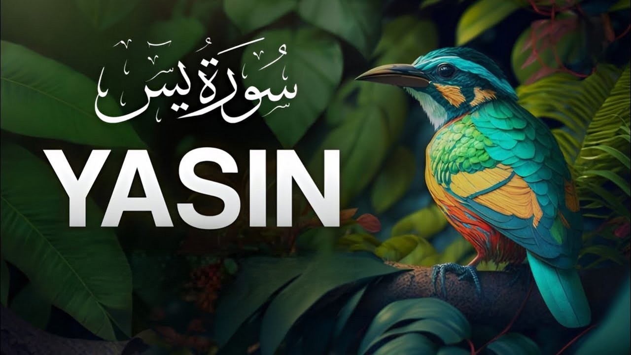 Surah Yaseen (Yasin) | Surah Rahman | Surah Waqiah | Surah Mulk | Shaikh Abdul Rahman Al Sudais 2026