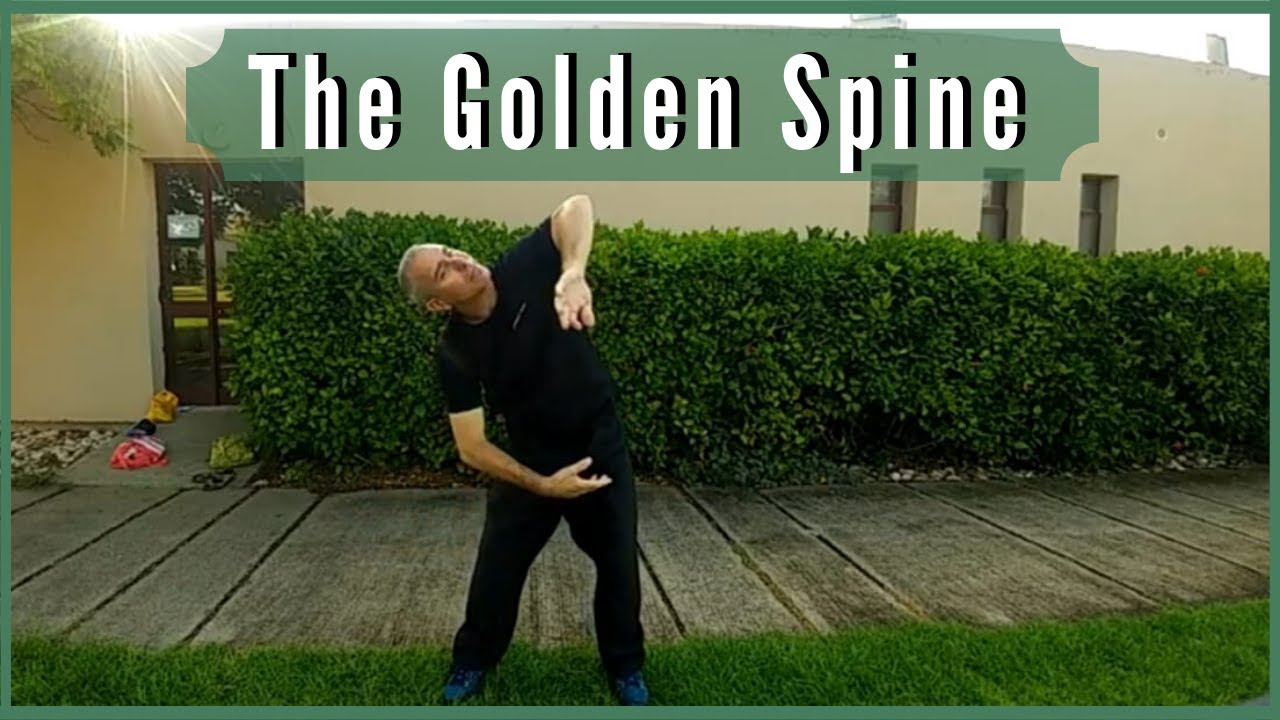 the golden spine - healing qi gong  - צ'י קונג לשחרור הגב