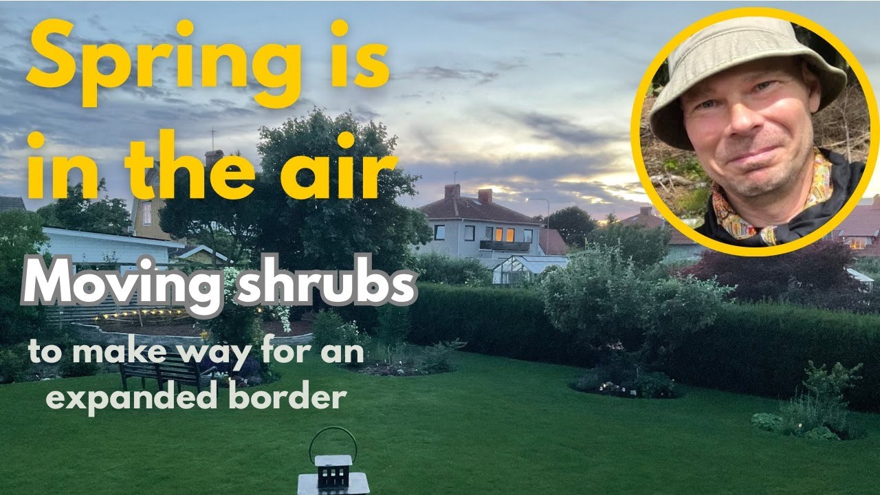 Spring is in the air - moving shrubs | Mid January
