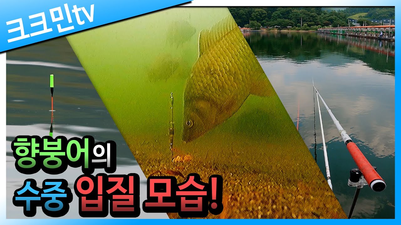 Секрет рыбалки с подводной камерой!
