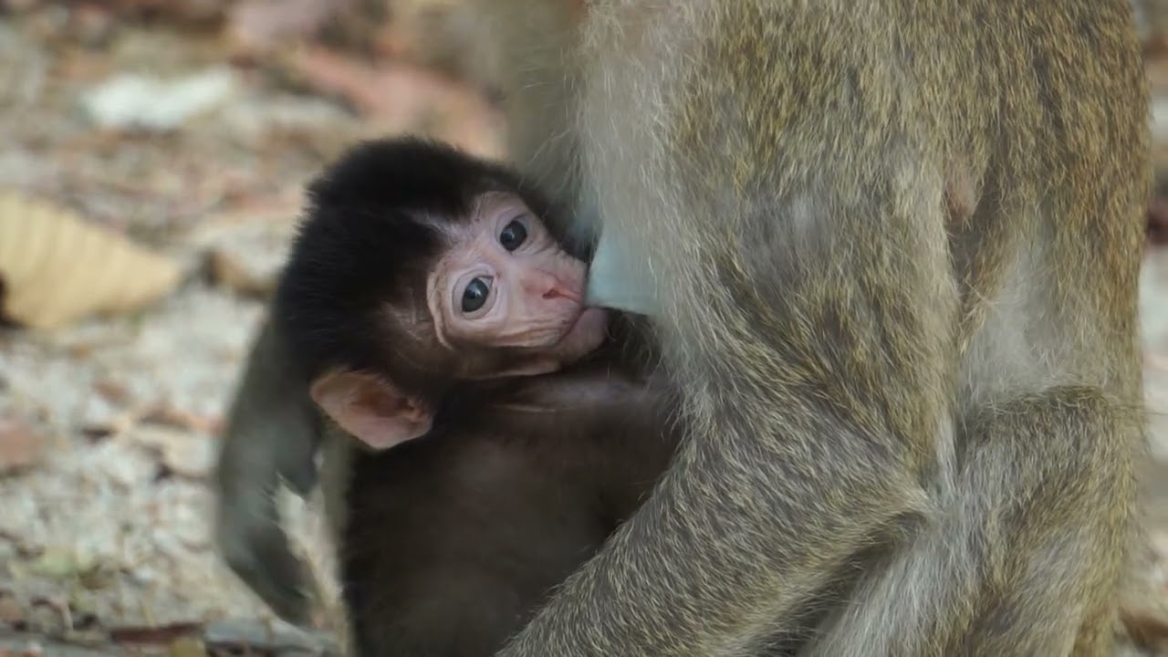 The young mother and her little baby were very happy with the food we gave them.