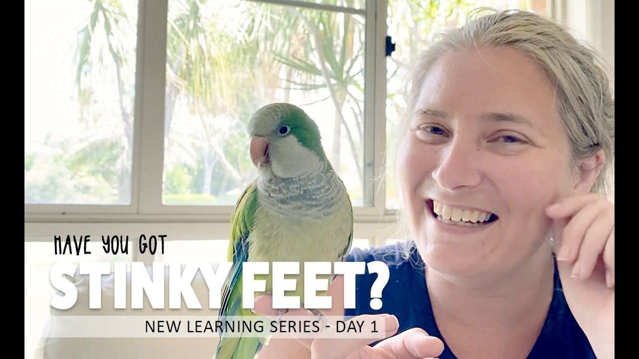 Have you got Stinky Feet? - Parrot Learning a New word