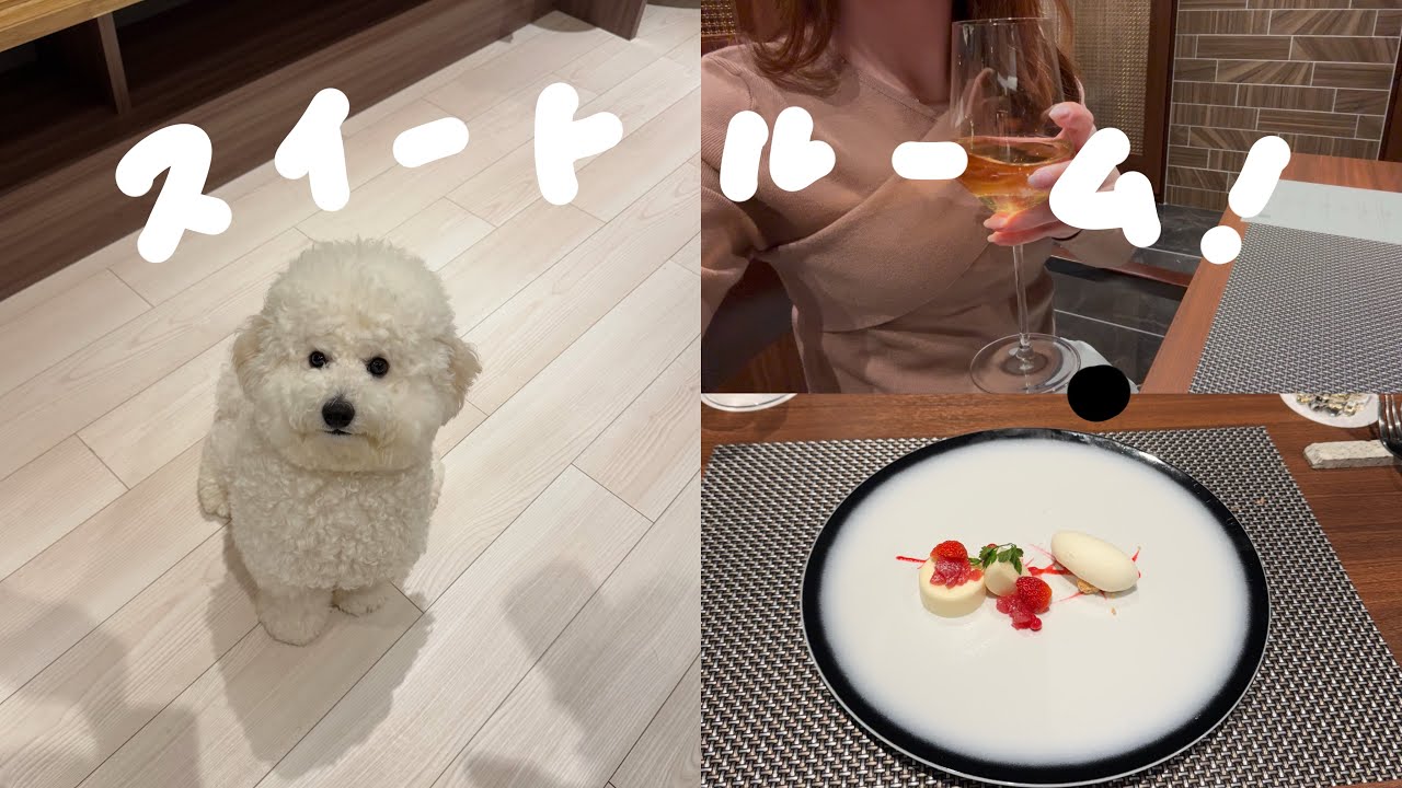 愛犬と泊まれる宿に行ってきました✨️支笏湖 水の謌/北海道旅行/vlog