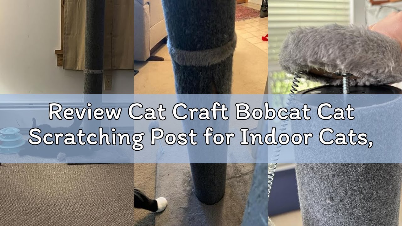 Review Cat Craft Bobcat Cat Scratching Post for Indoor Cats, Tall Cat Scratch Post, Carpet Cat Scrat