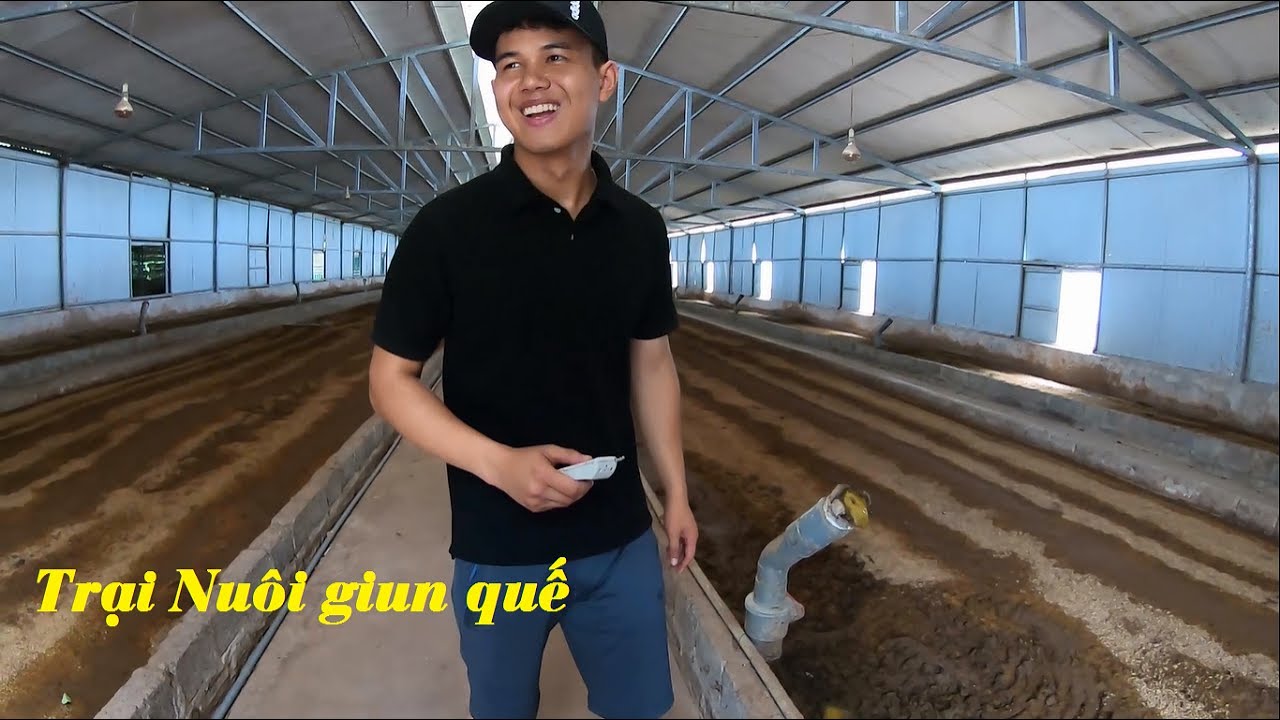 Mua giun quế ở đâu | Trang trại nuôi giun lớn nhất miền bắc